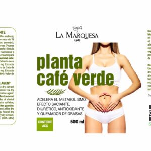 PLANTA CAFÉ VERDE